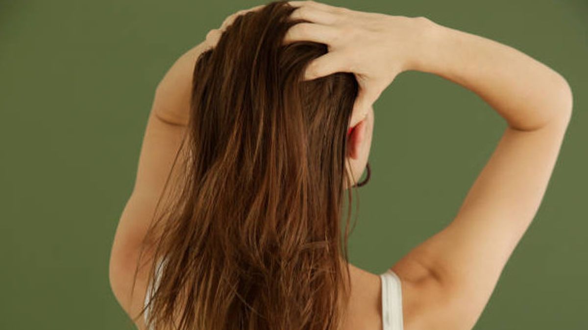 Is It True That Hair Oil Can Cause Hair Loss? Here's The Scientific Explanation