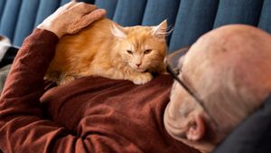 5 Alasan Kucing Suka Duduk dan Rebahan di Dada Pemiliknya