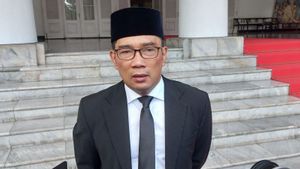    Bukan Cawapres, Ridwan Kamil Bidik Pilgub Jakarta
