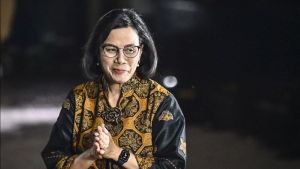 斯里·穆利亚尼(Sri Mulyani)关于12%的增值税适用于奢侈品:分类非常小,有限公司