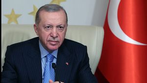 Presiden Erdogan Sambut Baik Pengumuman Pengakuan Negara Palestina, Berjanji Tekan Israel