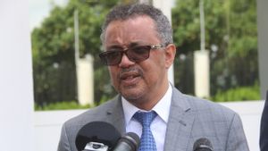 Soroti Kelaparan Massal di Gaza, Kepala WHO: Ini karena Blokade