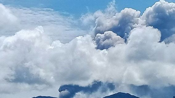 PGA Sebut Terjadi 260 Kali Letusan di Gunung Dukono