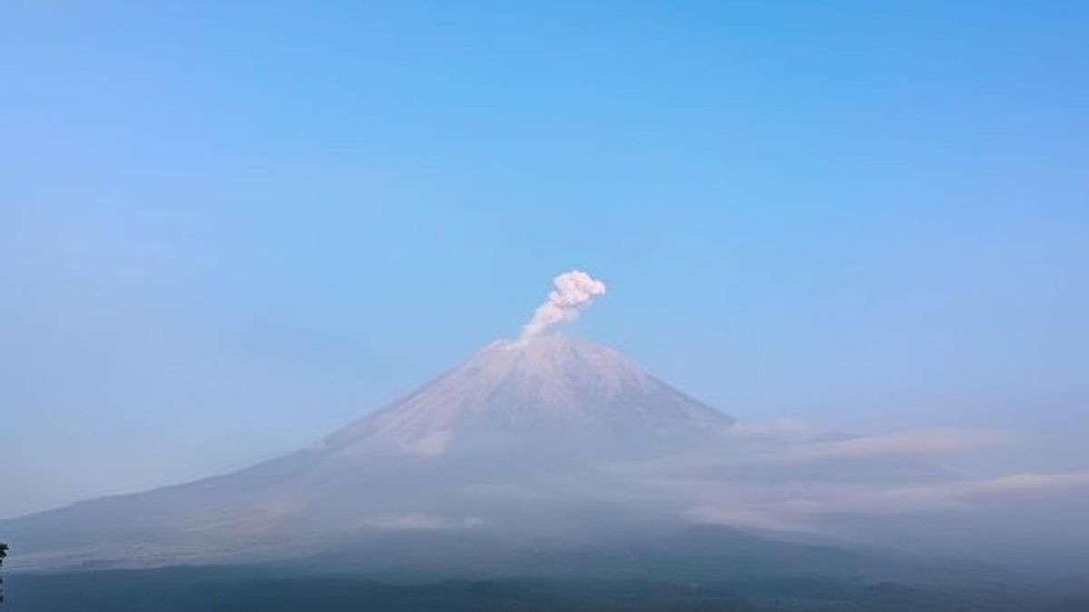 Méfiez-vous! Jeudi matin, le mont Semeru est de retour depuis le volcanik 1 km