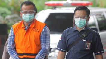 Stafsus Edhy Prabowo Dicecar Penyidik soal Aliran Duit dan Kepemilikan Aset dari Suap Benur