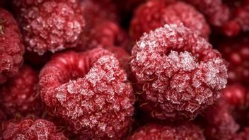 Frozen Food Processing Rules To Prevent Bacterial Contamination
