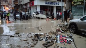 جبال الأناضول الشمالية، 12 جريحا في المستشفى