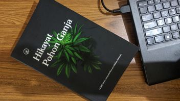 Voir Le Contenu Du Livre Hikayat Pohon Ganja, Qui Est Souvent Confisqué Dans Les Affaires De Marijuana