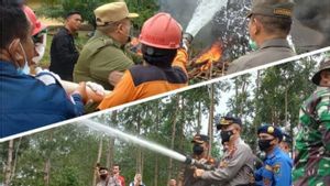 Bupati Tapanuli Selatan Dolly P.Pasaribu Mendadak Jadi Pemadam Kebakaran
