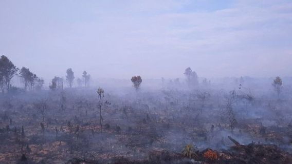Cegah Kebakaran Hutan, Pemprov Kepri Minta Masyarakat Tak Bakar Sampah Sembarang