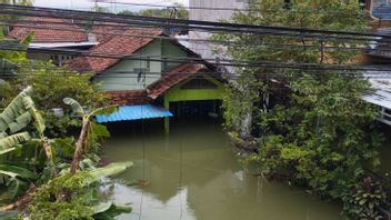 ムルアップ川、西アチェの4つの村が水に沈む