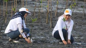 Dari Ekosistem ke Ekonomi, BNI Bangun Masa Depan Lewat Hutan Mangrove