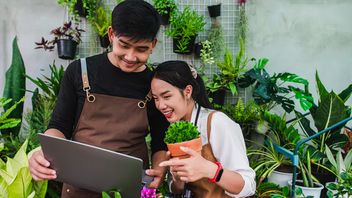 celior : Une épouse de Bengkulu doit planter un semis d'arbre avant de se marier
