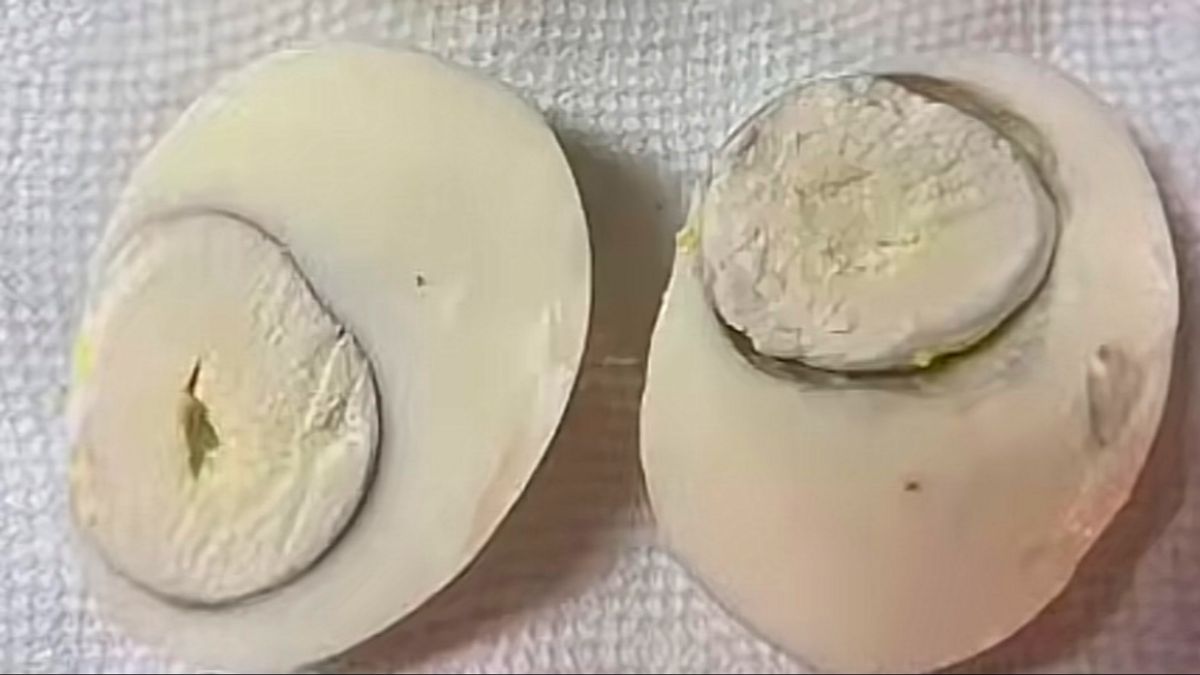 Viral Kuning Telur Berwarna Putih, Ini Fakta Ilmiahnya