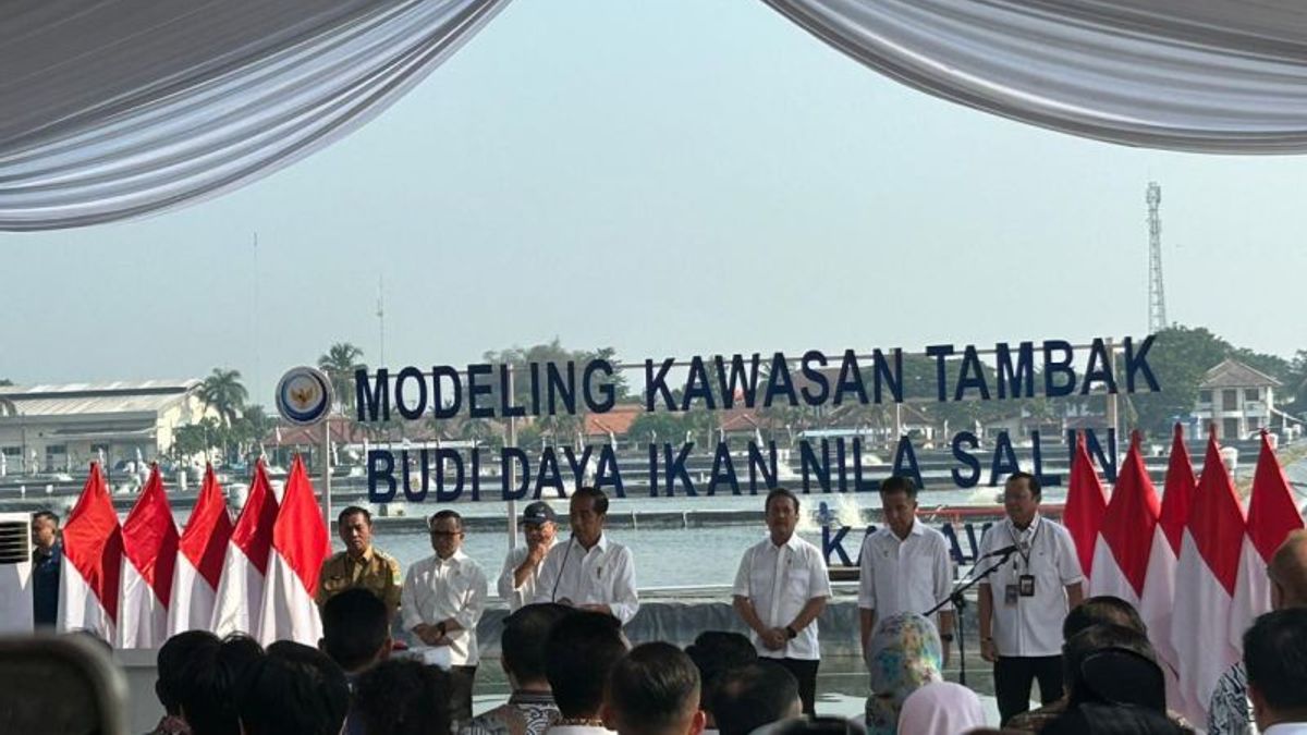 Jokowi Inaugurates The Pilot Of Nila Fish Cultivation KKP In Karawang