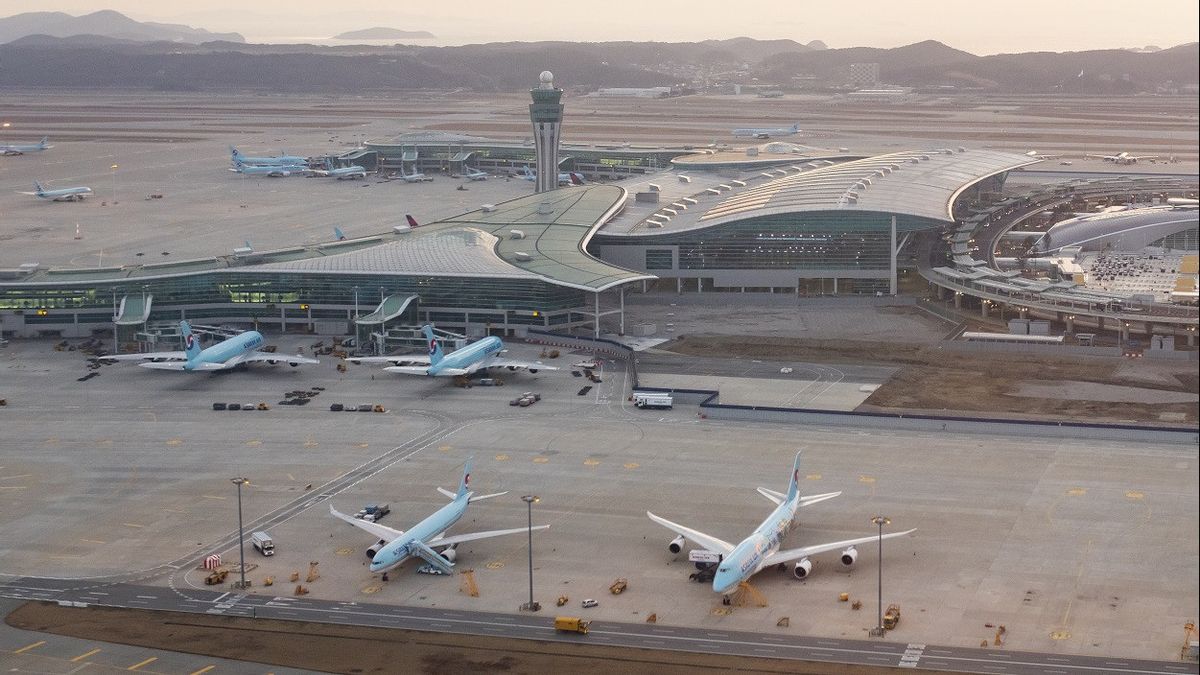 Khawatir Dampak Lingkungan, Empat Proyek Bandara Ini Ditunda hingga Dihentikan