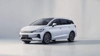 घरेलू बाजार में BYD की बिक्री 41 प्रतिशत तक गिर गई