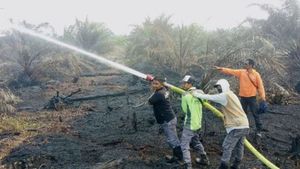 Lahan Sawit Tujuh Hektare di Nagan Raya Terbakar Semalam