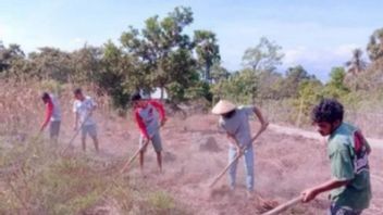 BMKG Advises NTT Farmers To Plant According To Wet Drought Conditions
