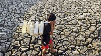 干旱的袭击,西爪哇,中爪哇和东爪哇的数万户家庭需要清洁水