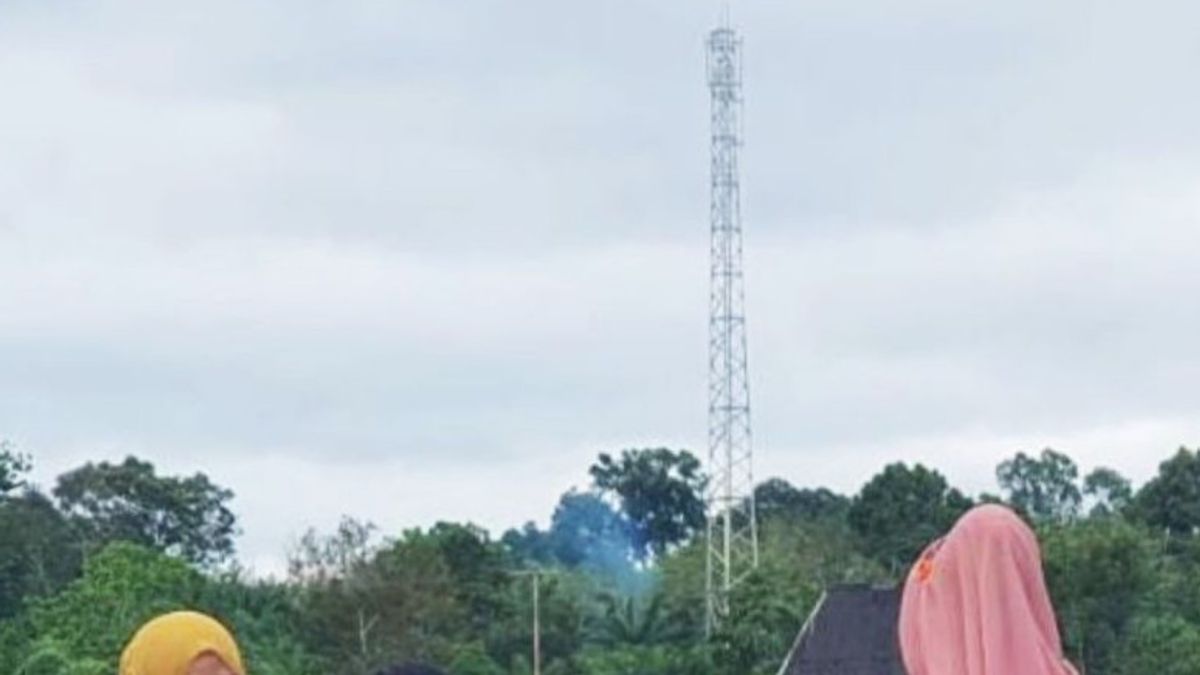The Story Of A Telecommunication Tower In Kumpang Bus Sekadau: Standing Up But No Network