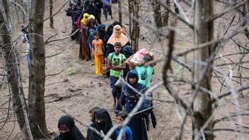 聯合國難民署警告在亞齊的羅興亞难民不要逃跑