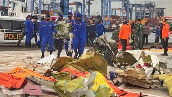 Today's Search For Sriwijaya Air SJ-182: 98 Bags Of Victim's Body Parts And 73 Pieces Of Aircraft