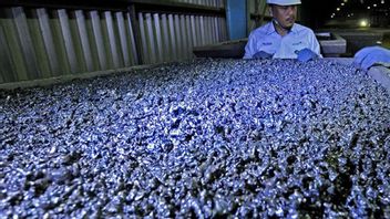 Berlaku Hari Ini, Kementerian ESDM Ubah Formula Harga Nikel dan Bauksit