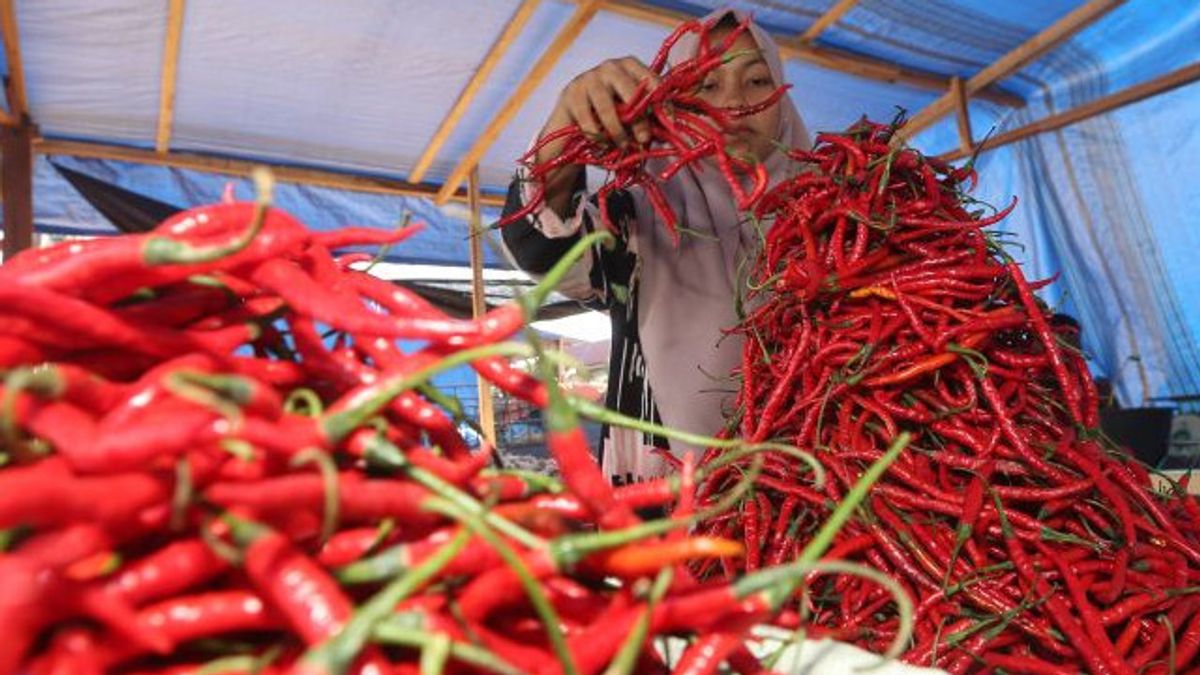 市場での価格を安定させ、国家食品庁が南スラウェシからジャカルタにチリをもたらす