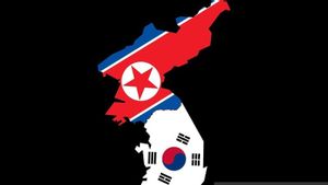 قيادة الأمم المتحدة للتحقيق في كوريا الشمالية وكوريا الجنوبية رفيعة المستوى عبر بالونات النفايات إلى المتحدث باسم الوسيط ك-بوب