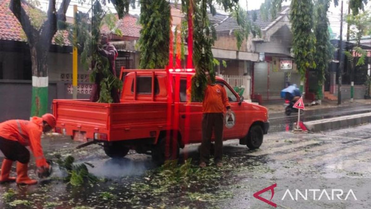 Extreme Weather Disrupts Electricity In Pamekasan Regency