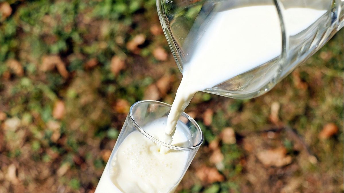 4 全奶牛奶和新鲜牛奶的区别,它有什么区别?