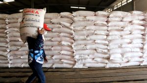 Stock Of Subsidized Fertilizer In The Country Is Safe Ahead Of The La Nina Phenomenon