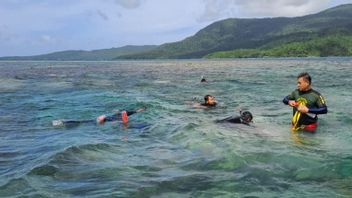 警察がカリムンジャワのサンゴ礁被害事件を調査