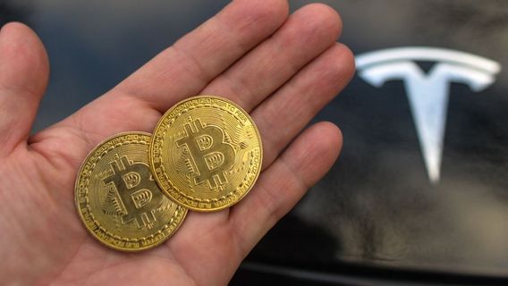 テスラとマイクロストラテジーは、価格が急落した後ビットコイン失う