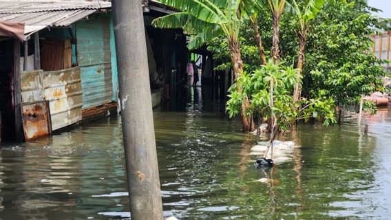 为了解决洪水问题,立法者敦促DKI雅加达省政府修复塞蒙戈尔河Sodetan Turap