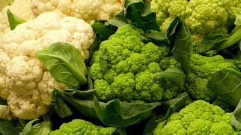 クルシフェラス野菜とは何ですか?栄養成分と健康への利点を覗き込む