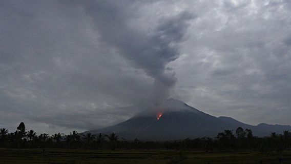 Mount Semeru Emits Hot Clouds, Flights At Surabaya-Malang Airport Are Still Safe