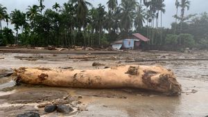 Akses Masih Terputus, PU Genjot Penanganan Longsor di Pesisir Barat Sumatra