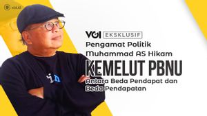 Eksklusif Video, Pengamat Politik Muhammad AS Hikam: Muara Perseteruan PBNU Bisa ke Ranah Hukum