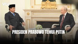 Presiden Prabowo Temui Putin di Tengah Kondisi Geopolitik Tak Menentu, Buka Peluang Kerja Sama