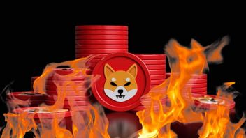 Le prix du shiba inu a chuté de 4%, le taux de combustion de 3500% incapable de résister à la correction