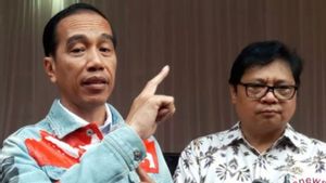 Presiden Jokowi Tunjuk Menko Airlangga jadi Ketua Dewan Nasional Kawasan Ekonomi Khusus (KEK)