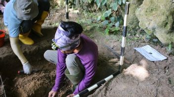 آثار الحياة البشرية ما قبل التاريخ وجدت في تامبراو، بابوا الغربية