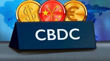 CBDCを支配する金融当局に対する批判のバラジ