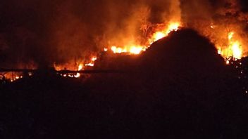 Kebakaran Gunung Jayanti Palabuhanratu Sukabumi Makin Meluas