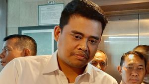 Kabar Gembira, Bobby Nasution Batalkan Pemotongan Honor Pegawai Harian Lepas Kota Medan
