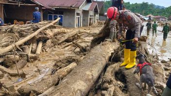 Data Terkini 8 Desember: 929 Tewas, 274 Hilang di Bencana Aceh Sumatera