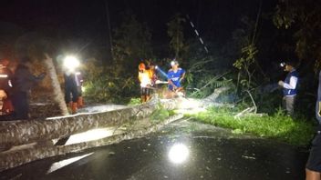انقطاع خدمة الكهرباء في 3 مناطق في ناتونا بسبب الرياح القوية