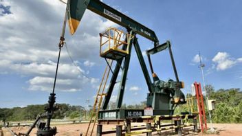 PT TGS Dilibatkan参加西苏拉威西岛石油和天然气储量调查